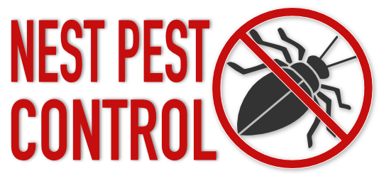Nest Pest Control Washington DC, We Kill ALL Bugs!