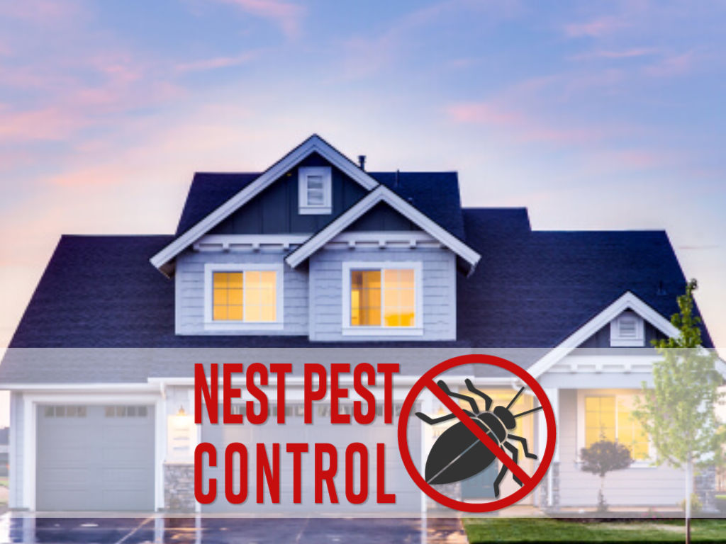 pest free house with nest pest control logo in foreground