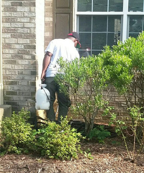 man spraying pest control application in bushes in washington dc
